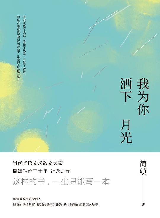 《我为你洒下月光》封面