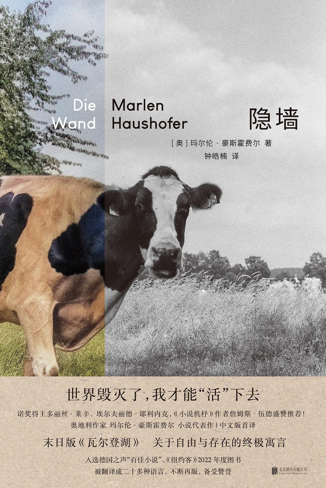 《隐墙》封面